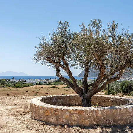 Majestic Private Pool