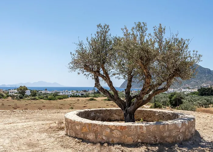 Majestic Private Pool